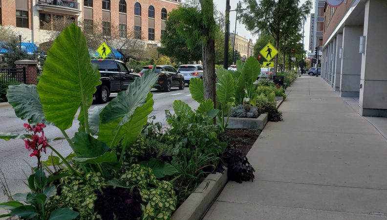 M2 Enclave Suite 435 04